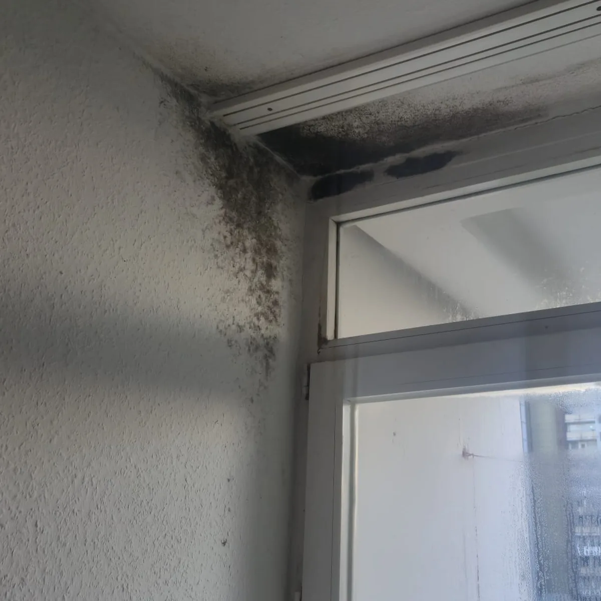 Fensterleibung mit massivem Schwarzschimmel vor der Sanierung in Dortmund