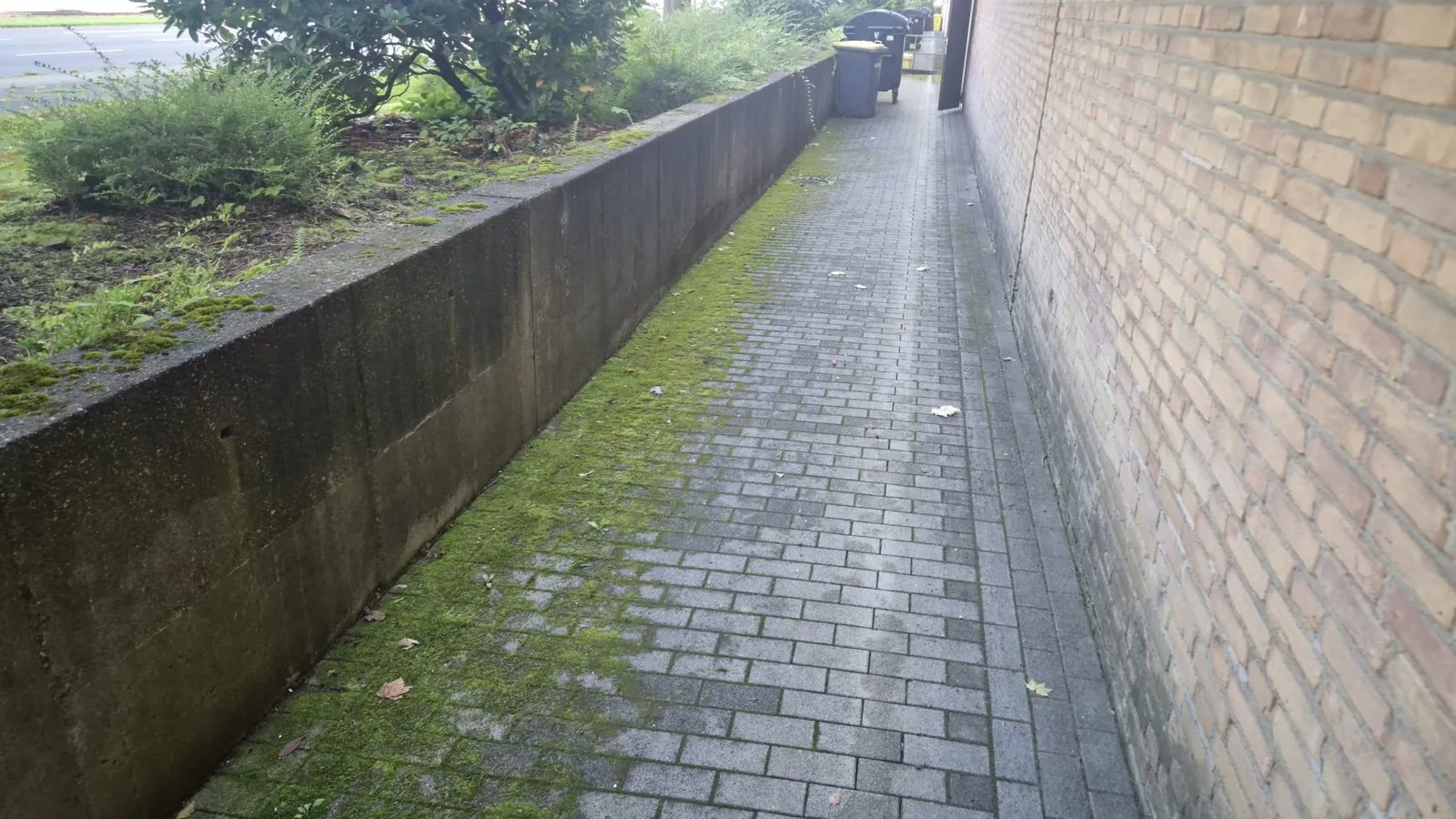 Pflasterweg mit Moos und Algen vor der Hochdruckreinigung in Dortmund
